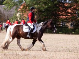IMG_8487_web